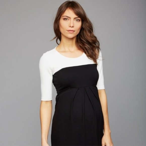Isabella Oliver Laela Colorblock Maternity Dress - Picture 2 of 9